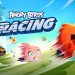 Angry Birds Racing APK